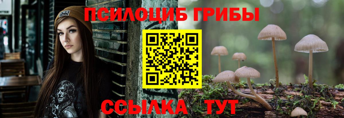 Псилоцибиновые грибы Magic Shrooms Усолье-Сибирское