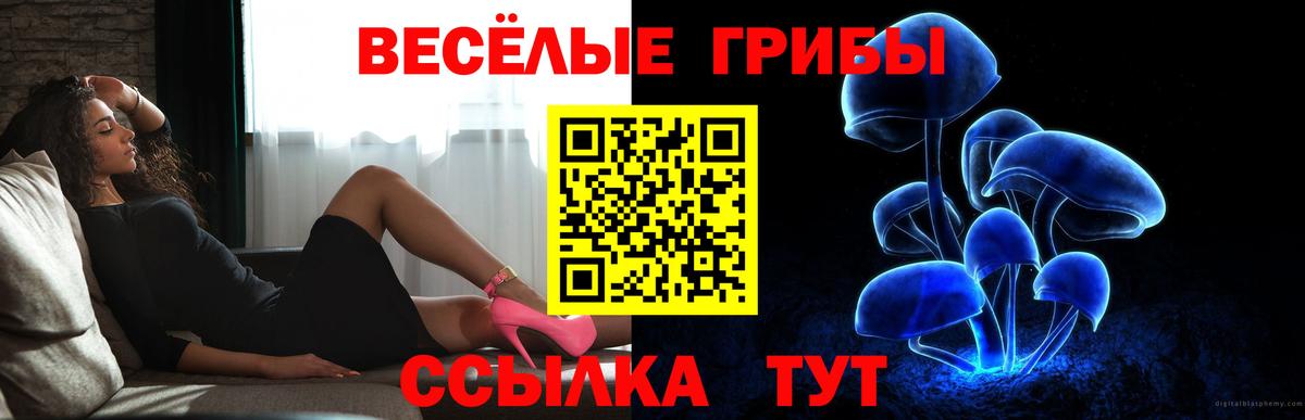 Усолье-Сибирское  Псилоцибиновые грибы Magic Shrooms  Вход с VPN 